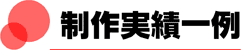 制作実績一例