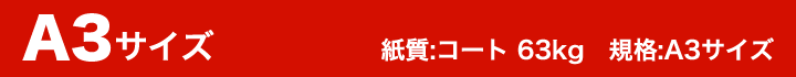 A3サイズ　紙質：コート 63kg　規格：A3サイズ